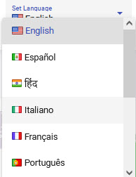 Select Language
